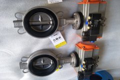 氣動(dòng)蝶閥的結構形式和特點(diǎn)？